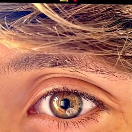 Wer, �������, 26 ���