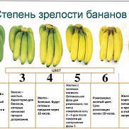 ��������, 63 ����, ����������