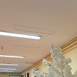 ,�����, ������, 57 ���