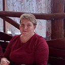  ,  , 50  -  17  2025    