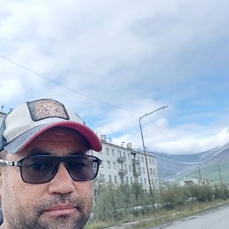 , 44, 