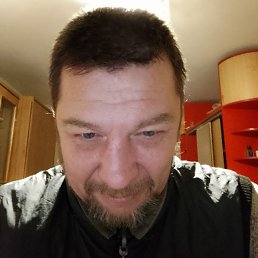 �����, 43 ����, �����