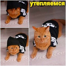 �������, ����, 47 ���