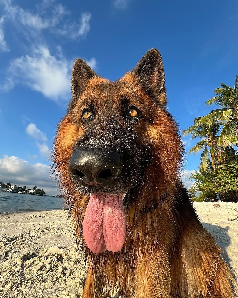 ��� ��� ������� ���� �� ����� - 4