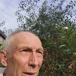 , 63 , 