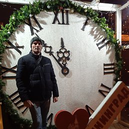 Niko, �����������, 46 ���