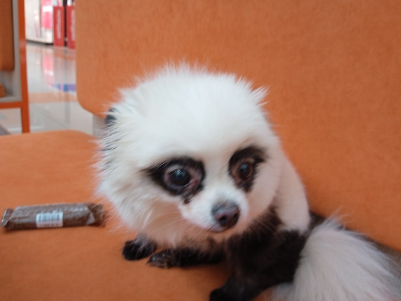   - 16  2025  09:44 - 2