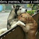 ���� ������, ���������, 62 ���� - ��������� 6 ������ 2025 � ������ ���� ����������