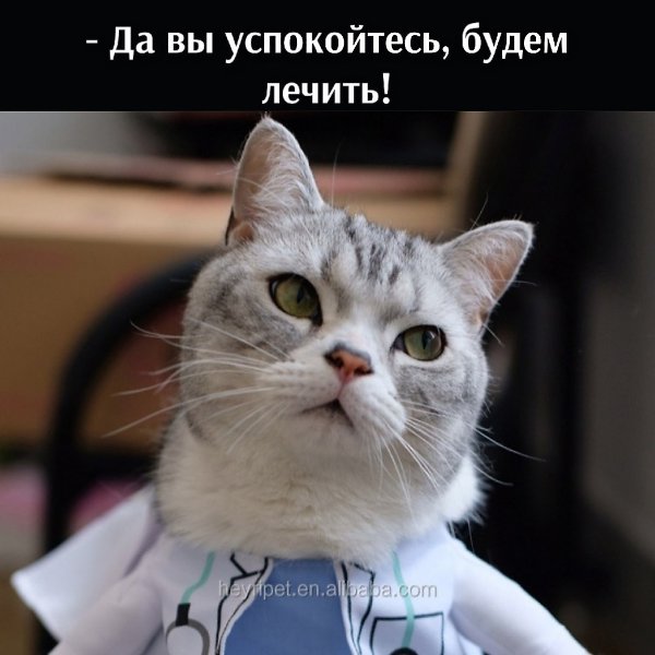 ��� ���� � ����� �� �� - 18 ������� 2025 � 21:33 - 3