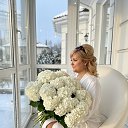 ���� �����, ������ ��������, 56 ��� - ��������� 16 ������ 2026 � ������ ���� ����������