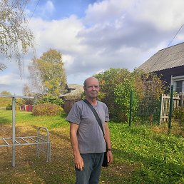 , 61 , -