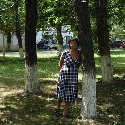 , 60, 