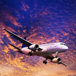 ���������, �����������, 37 ���