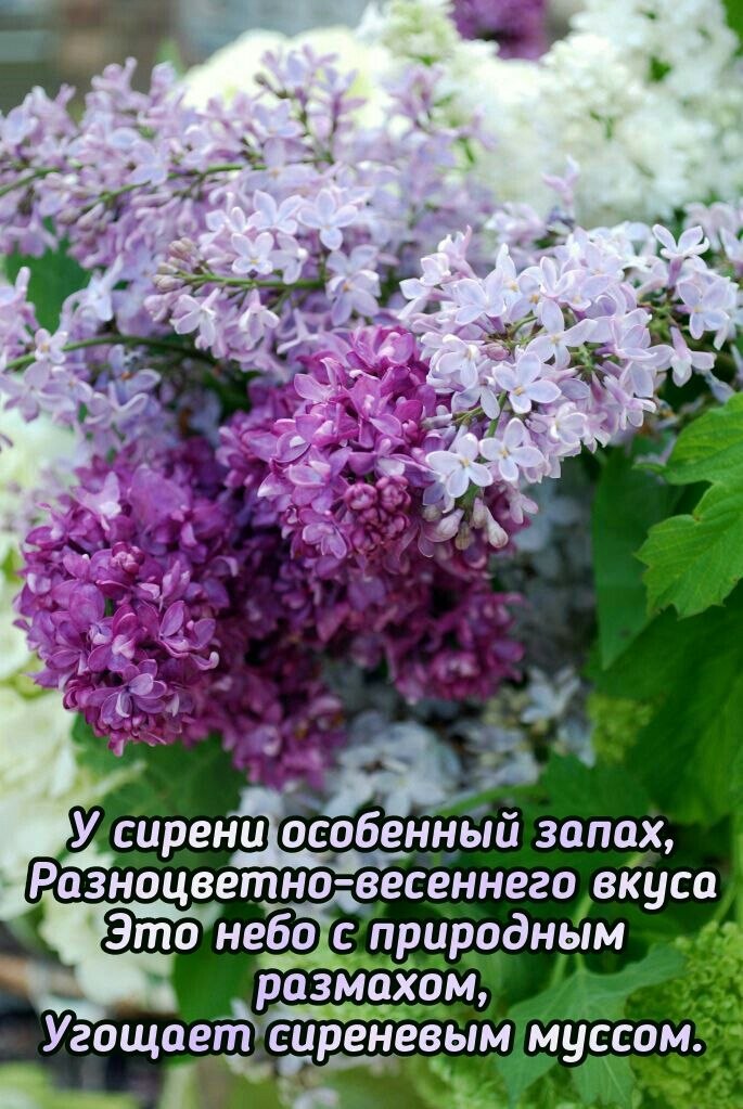   - 13  2025  13:55
