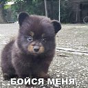 ���� �����, ������, 63 ���� - ��������� 3 ���� 2025 � ������ ���� ����������