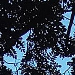 ����, �������, 61 ���