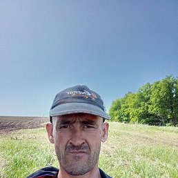 ��������, ����, 41 ���