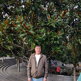 �������, �����, 48 ���