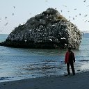 ���� ����������, ������������, 56 ��� - ��������� 30 ������ 2025