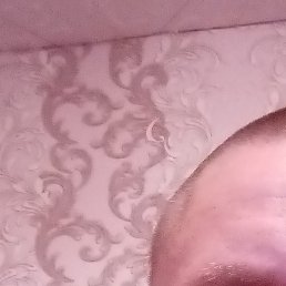 �������, ������, 43 ����