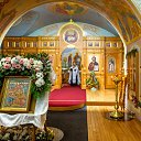 ���� �������, ���������, 50 ��� - ��������� 7 ������ 2024 � ������ ������ ��������