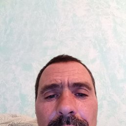 ���� ������, ���������, 41 ��� - ��������� 29 ������ 2023