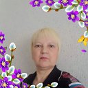 ���� ���������, ������, 66 ��� - ��������� 6 ������ 2026 � ������ ���� ����������
