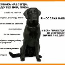 ���� �������, ��������� - ��������� 17 ������ 2024 � ������ ���� ����������