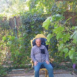 ������, 53 ����, �����������