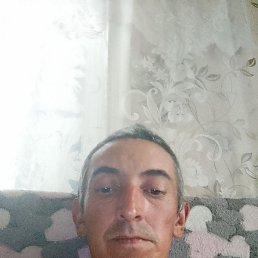 , 38, 