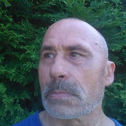 ����, �������, 75 ���