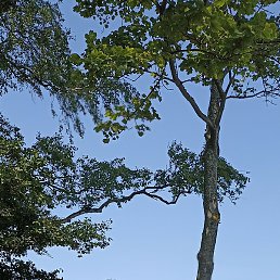 �, ��������