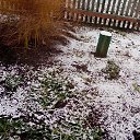 ���� ������, �����������, 62 ���� - ��������� 14 ������ 2023 � ������ ���� ����������