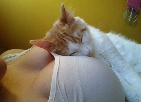 ���������� ��������!) - 2