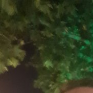 , 52 , 