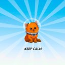 ���� ��������, ������, 34 ���� - ��������� 17 ������ 2024