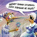 ���� ��������, ����������, 71 ��� - ��������� 27 ������� 2026 � ������ ������ ��������