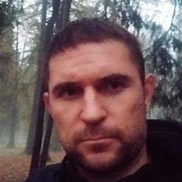 �����, �����-���������, 40 ���