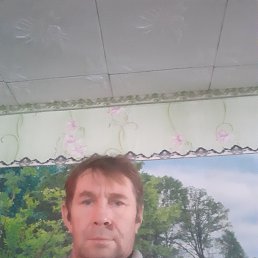 ������, 46 ���, ���������