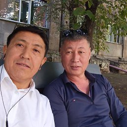 , 51, 