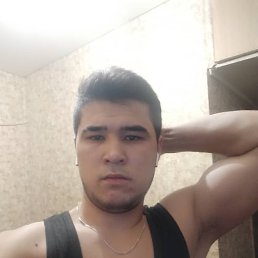 , 24, 