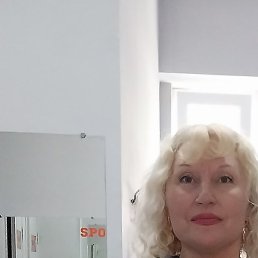 �����, ����, 41 ���