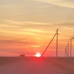 �����, ������, 40 ���