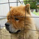 ���� �, �������, 53 ���� - ��������� 26 ������� 2025