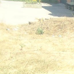 ������ �������, ����, 67 ���