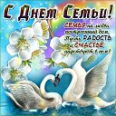 ���� �������, ����������� - ��������� 8 ���� 2025 � ������ ������ ��������