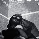 ���� ������, ��������������, 53 ���� - ��������� 5 ������ 2024 � ������ ������� ��� �����