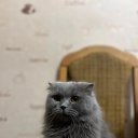����1 �� ������� ���� ����������