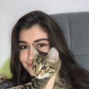 ���� ���������, ������ ��������, 29 ��� - ��������� 5 ������� 2025 � ������ ���� ����������