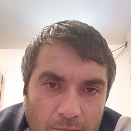 ���� ����, ������, 41 ��� - ��������� 18 ������ 2024